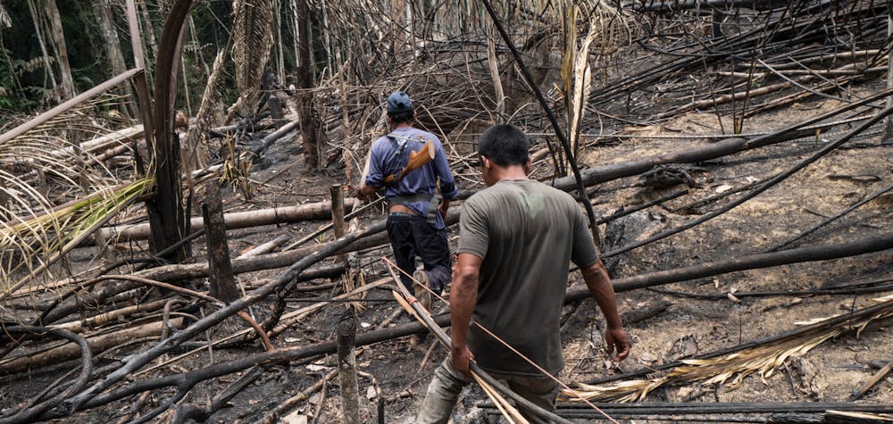 Une patrouille indigène découvre des zones récemment brûlées et une cabane mise en place par des envahisseurs - probablement des grileiros, des travailleurs conduisant des saisies illégales de terres, la déforestation et le brûlage - dans le territoire indigène d'Uru Eu Wau Wau, dans l'État de Rondônia, au Brésil, en septembre 2019. 