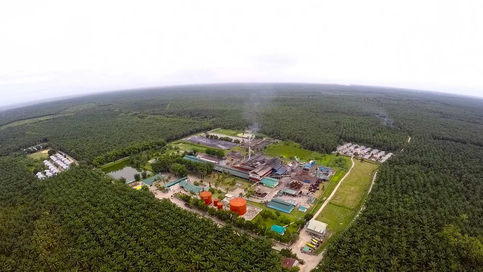Vue aérienne de l'usine d'huile de palme Perkenunan Milano appartenant à Wilmar International 
