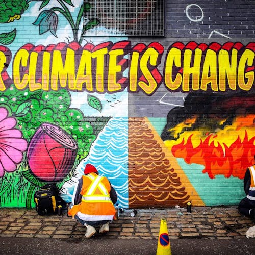 Cop 27