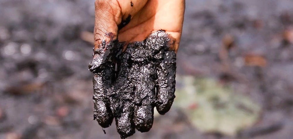 Main couverte de pétrole dans le delta du Niger