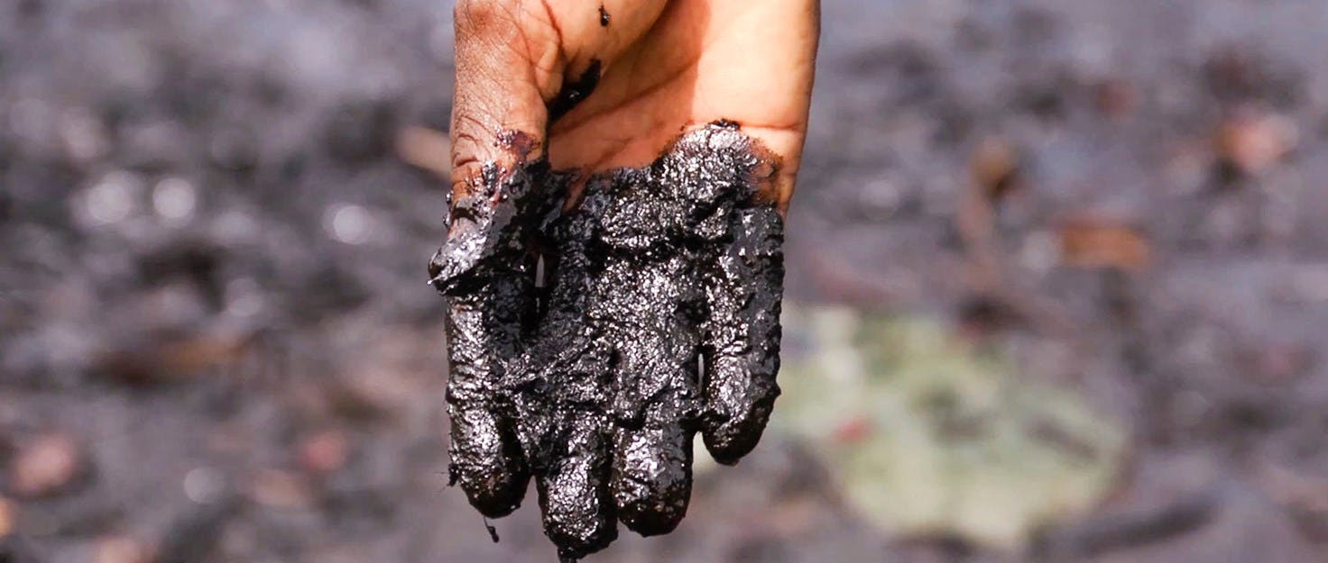 Main couverte de pétrole dans le delta du Niger