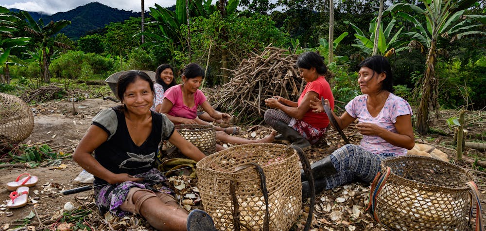 Women harvesting yuca in La Curva (Morgana Vargas Llosa, 2019)