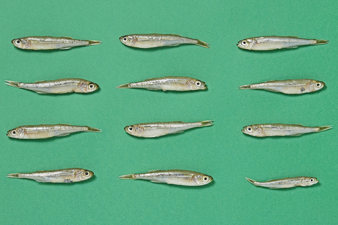 Les Tables de Nantes 9