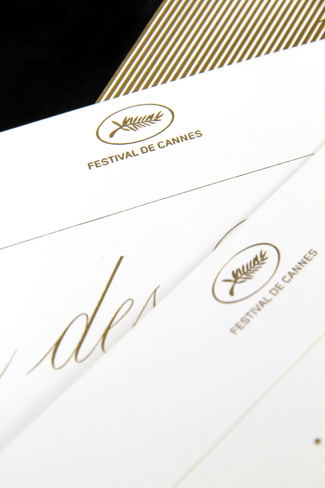 Festival de Cannes  2