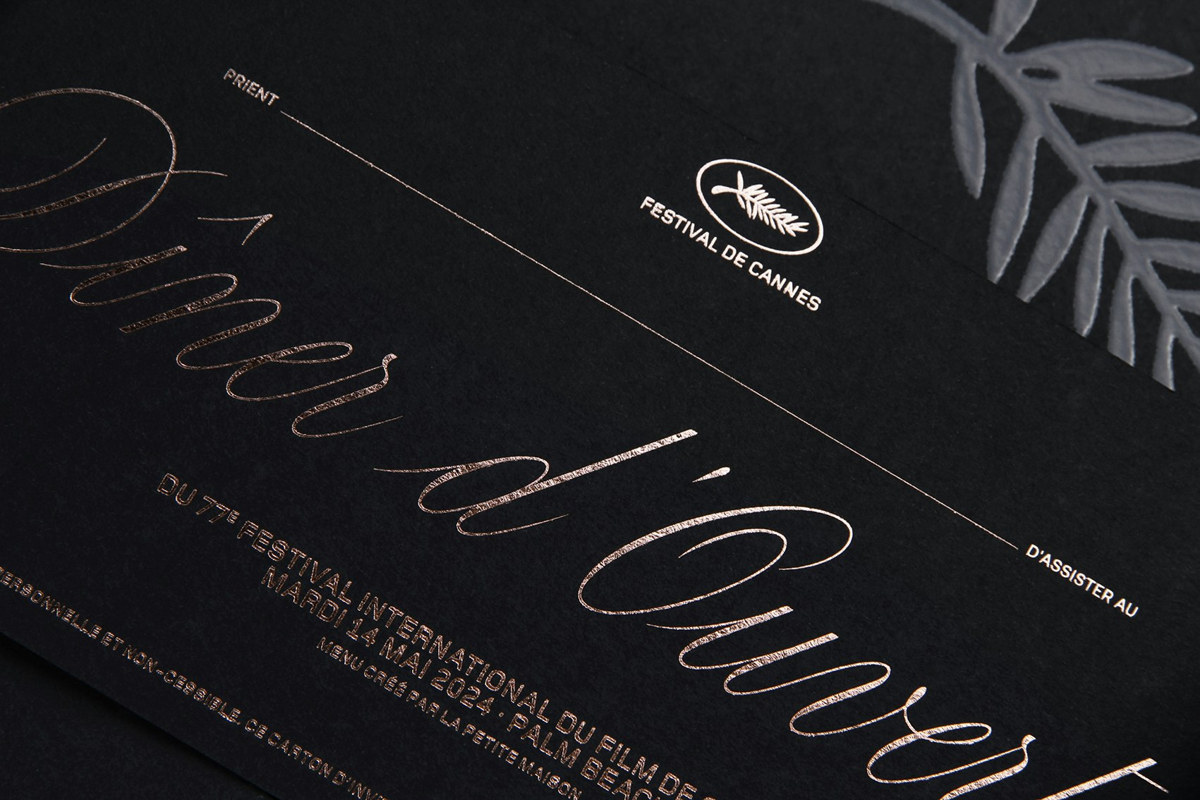 Festival de Cannes 2024 2