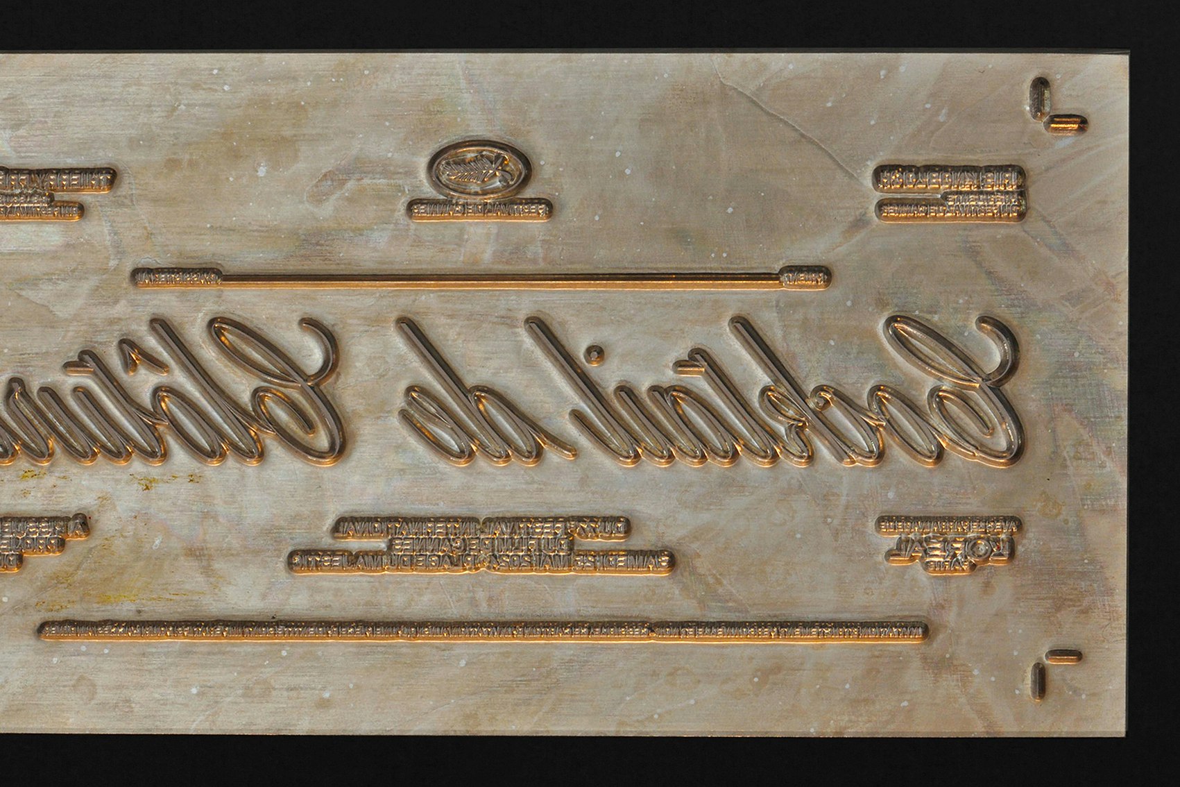 Festival de Cannes 2024 4