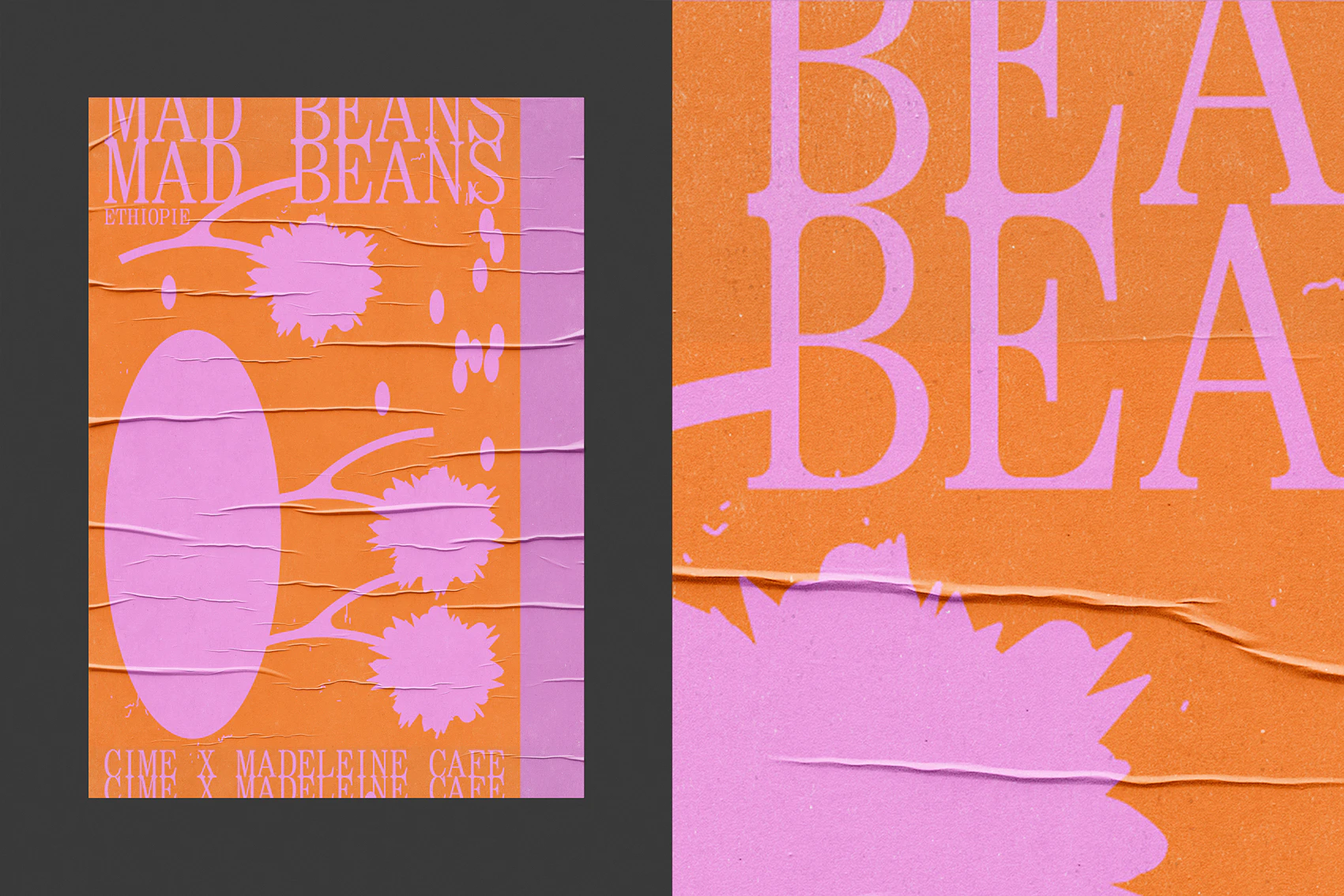 Mad Beans 1