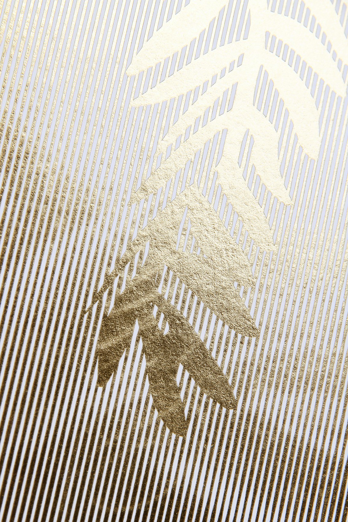 Festival de Cannes  5