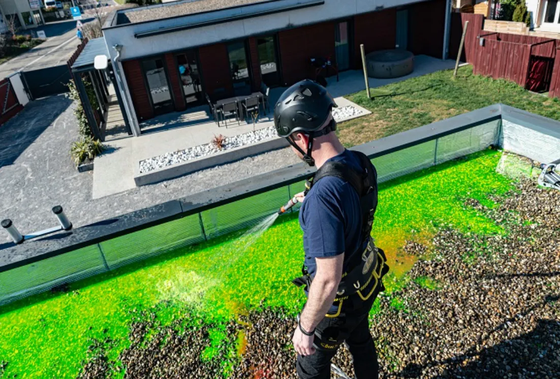 Colorant traceur