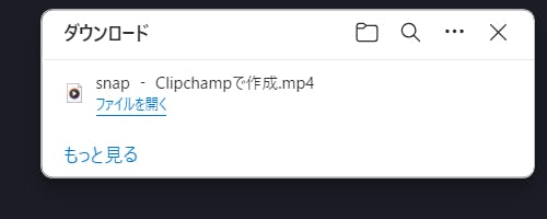 img_windows11screencapture_26
