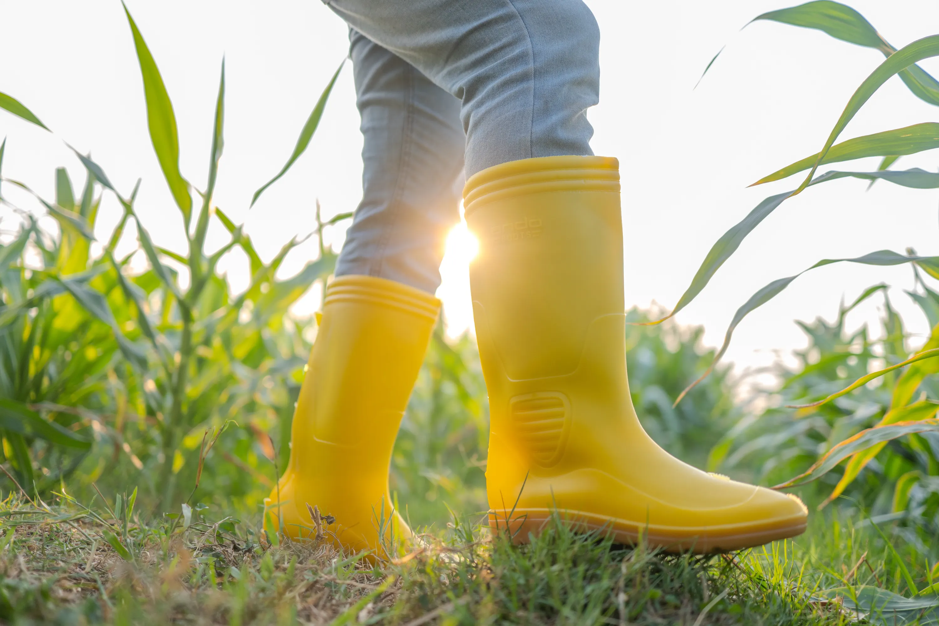 Ando Boots Perkebunan