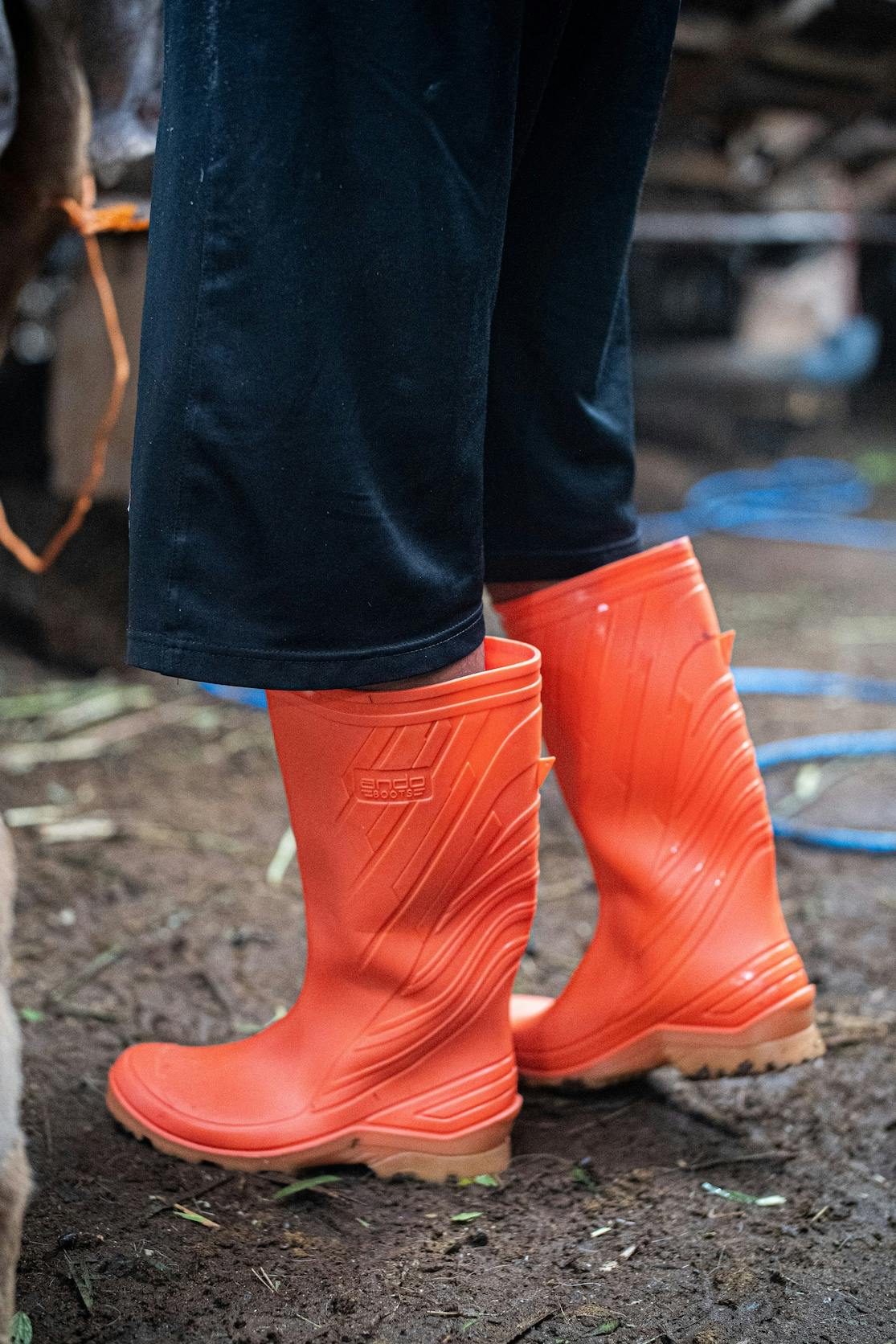 Ando Boots Helios
