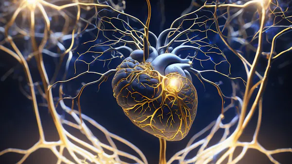 Mente y corazón: la neurociencia de la consciencia detrás de cada decisión