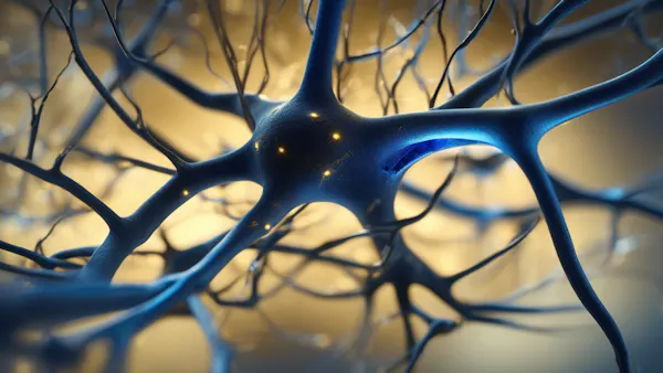 Por qué fracasan las dietas: lo que la neurociencia dice sobre la fuerza de voluntad