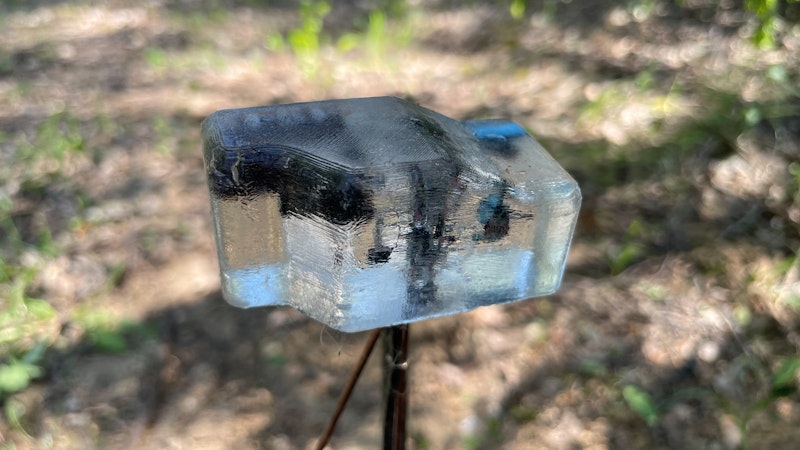 solar critter