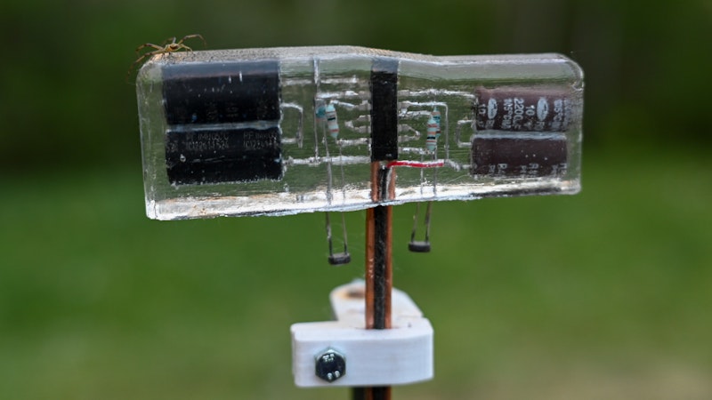 solar critter