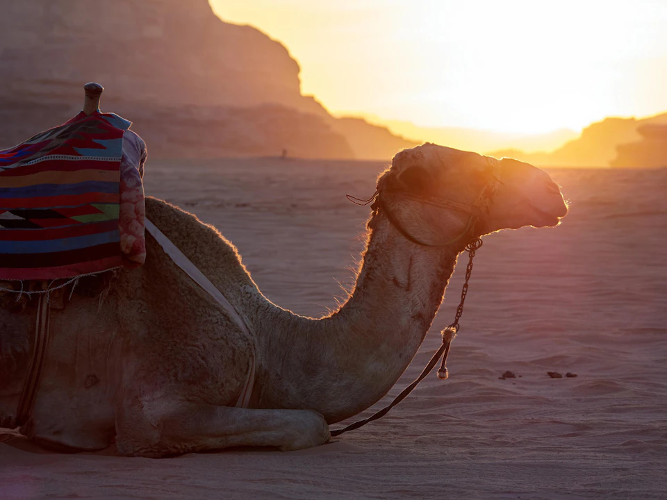 Wadi Rum