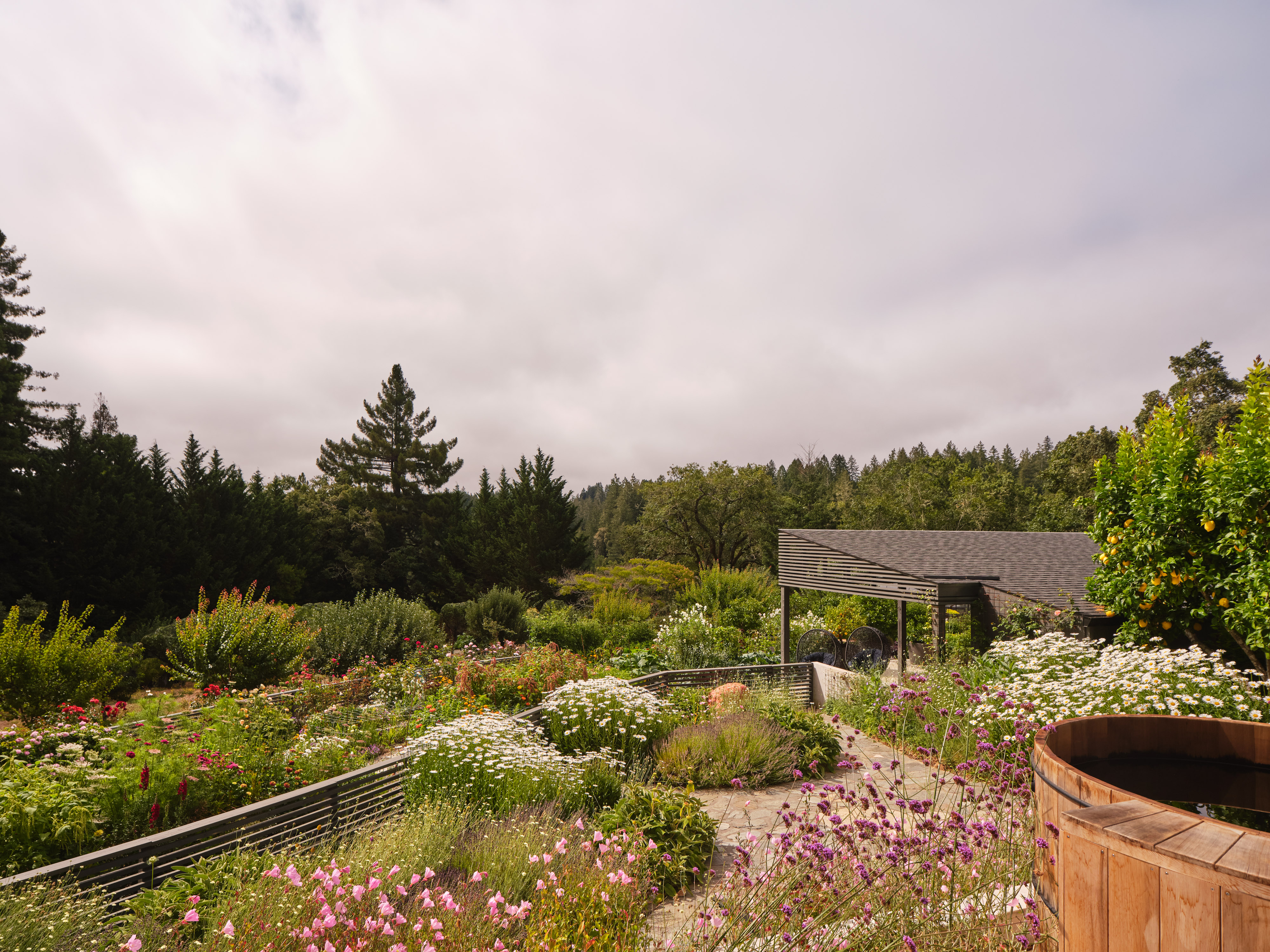 Andrew-Mann-Architecture-California-Sonoma-Retreat-Exterior-iv