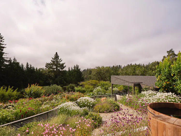 Andrew-Mann-Architecture-California-Sonoma-Retreat-Exterior-iv