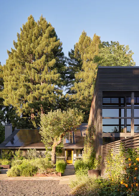 Andrew-Mann-Architecture-California-Sonoma-Retreat-Exterior-vi