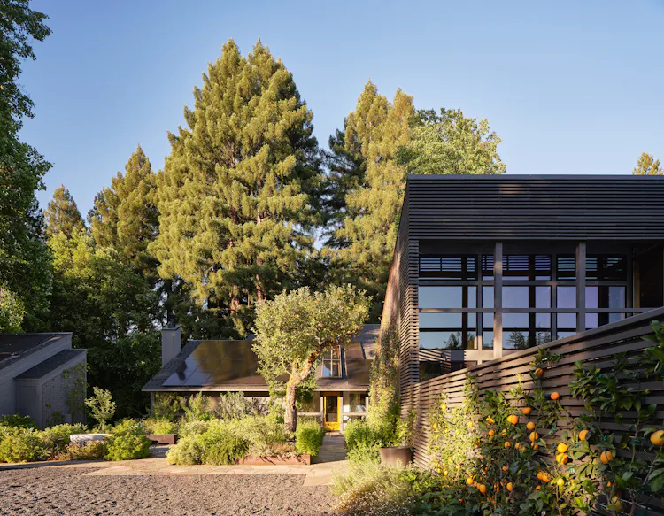 Andrew-Mann-Architecture-California-Sonoma-Retreat-Exterior-vi