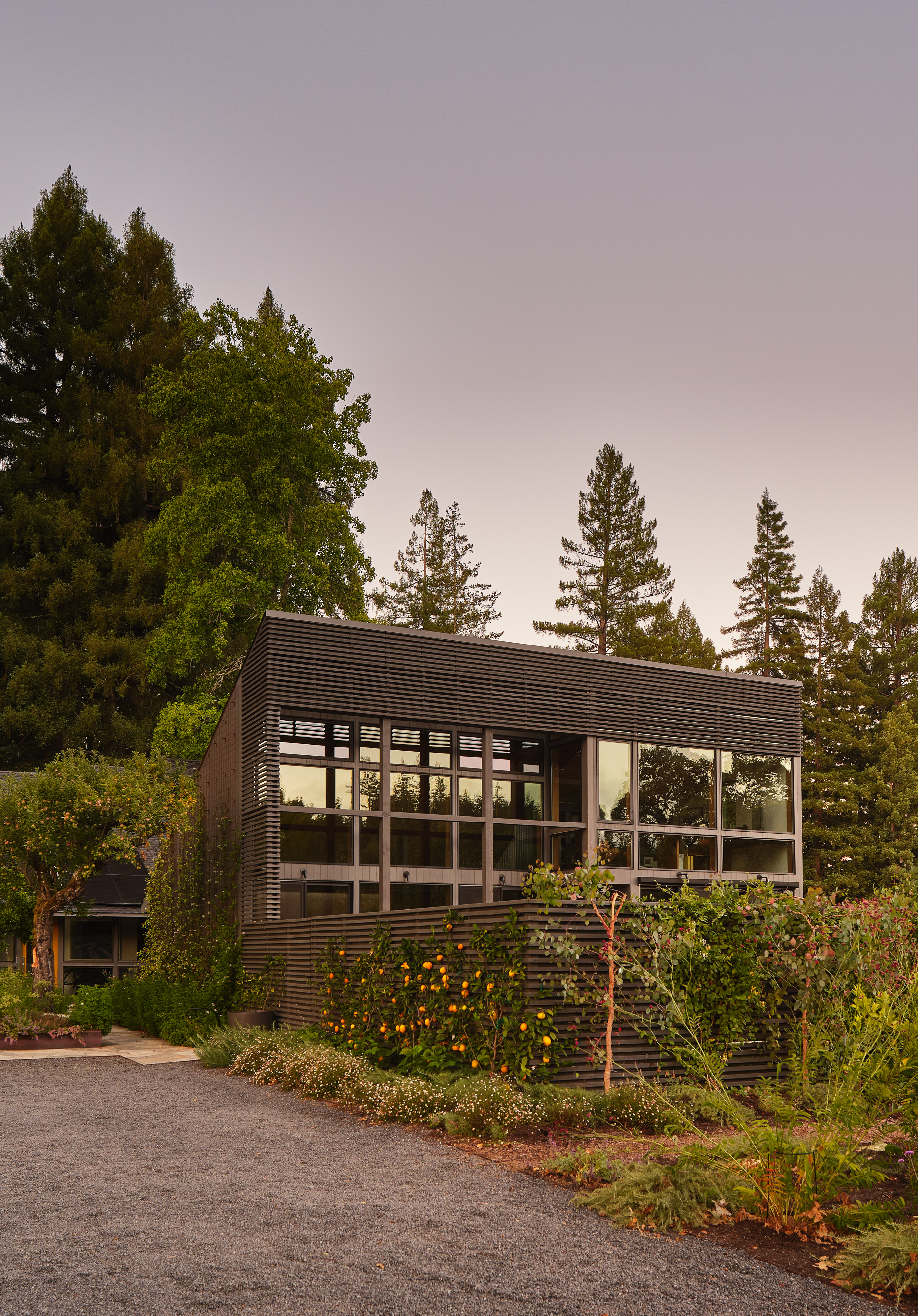Andrew-Mann-Architecture-California-Sonoma-Retreat-Exterior-viii
