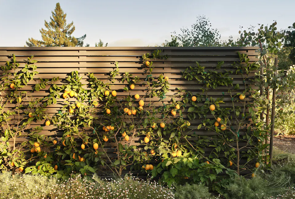Andrew-Mann-Architecture-California-Sonoma-Retreat-Exterior-iii