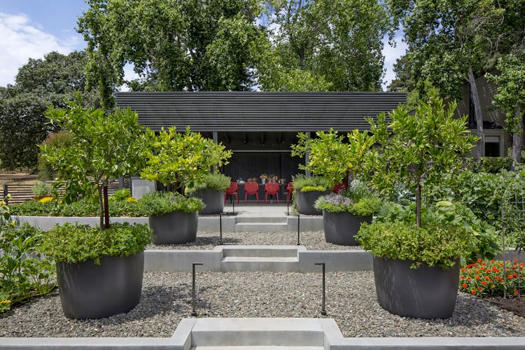 Andrew-Mann-Architecture-California-Sonoma-Retreat-Cabana-Front-View-with-large-Pots