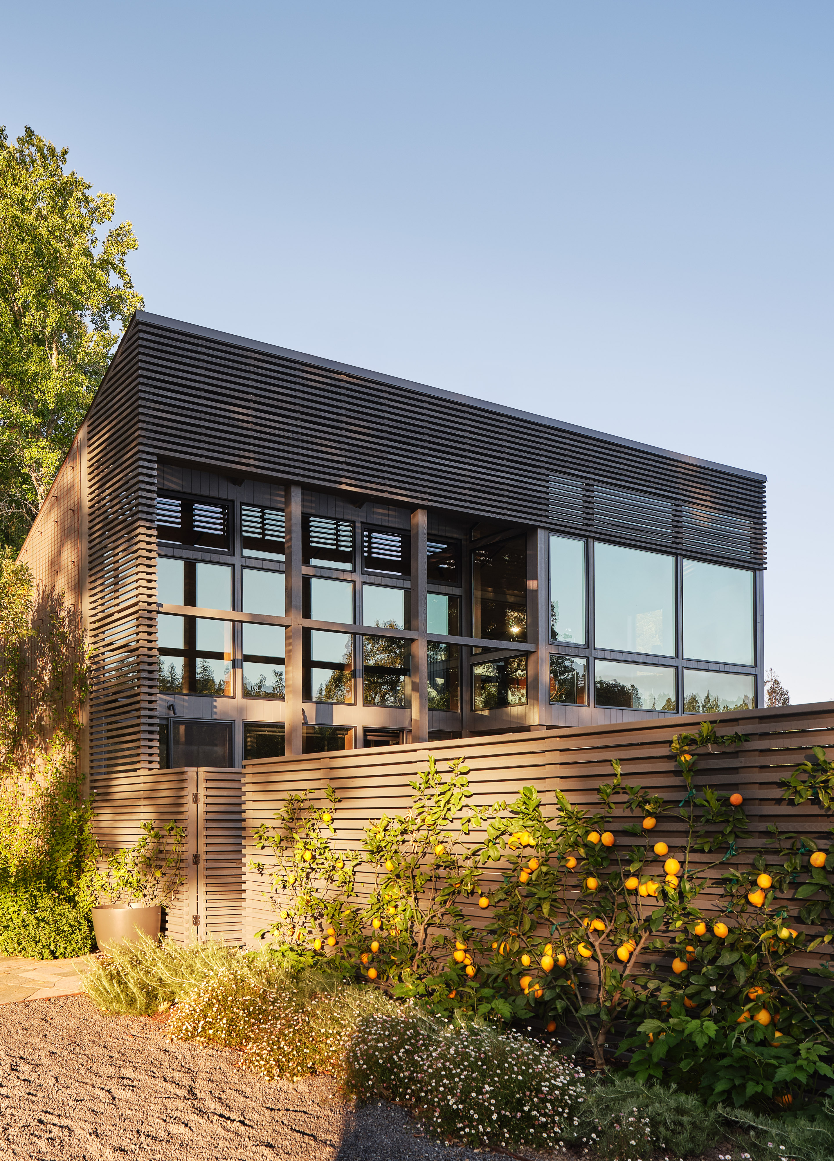 Andrew-Mann-Architecture-California-Sonoma-Retreat-Front-Facade-i