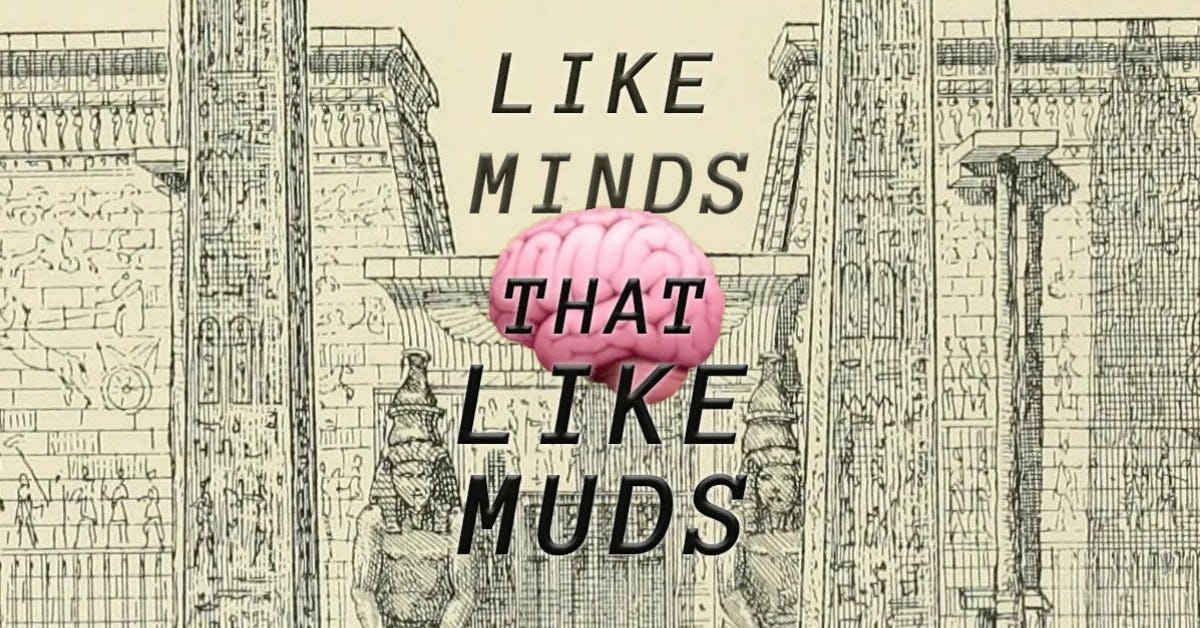 Like minds that like MUDs
