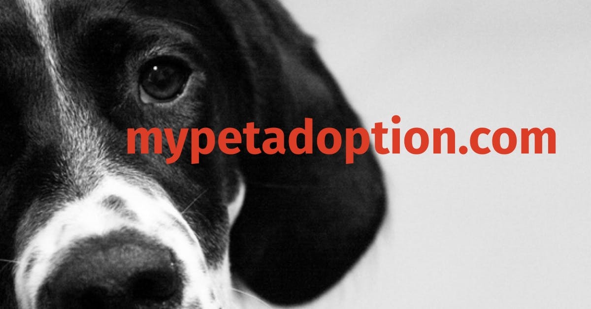 mypetadoption.com