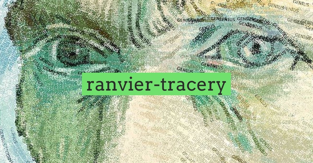 ranvier-tracery