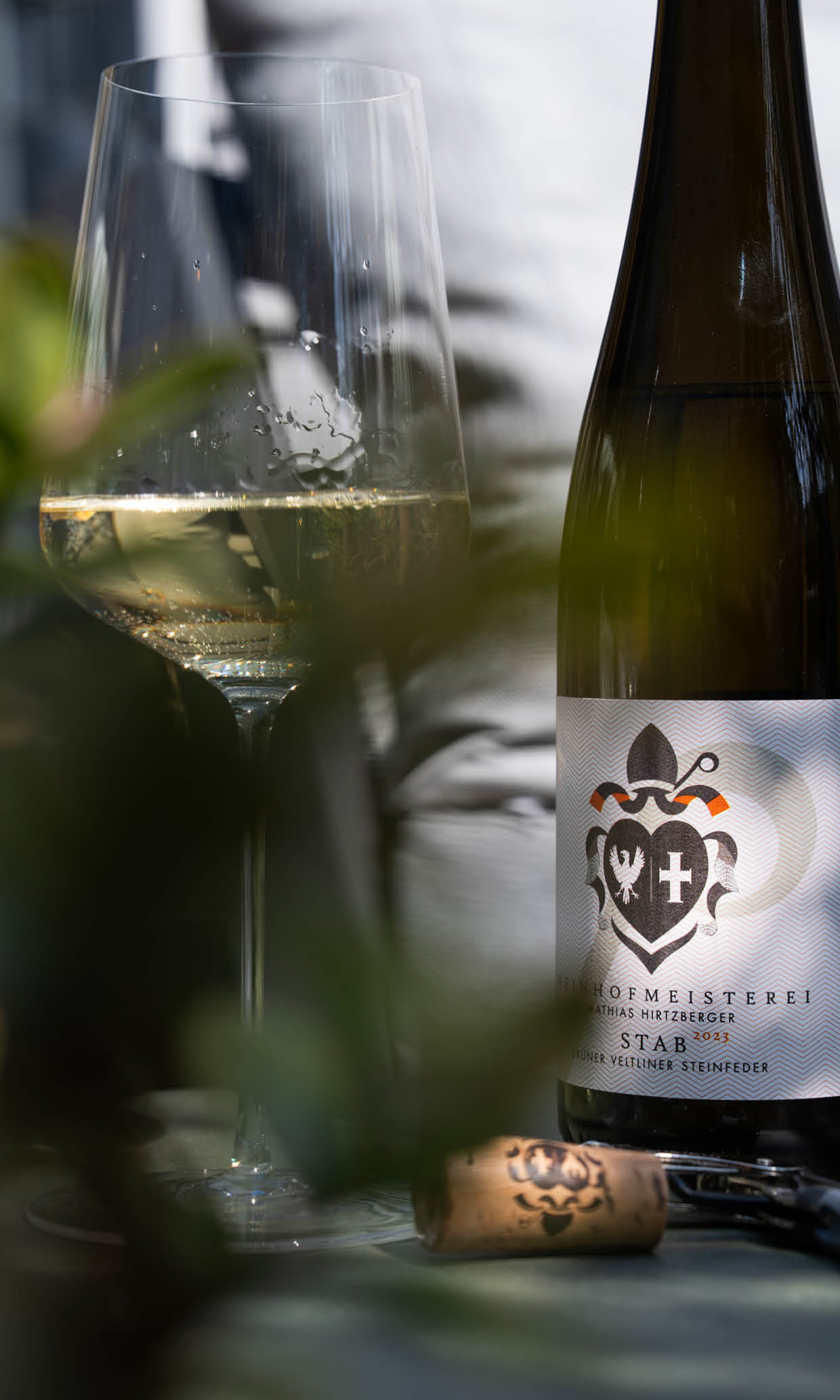 De mooiste voorjaarswijnen
