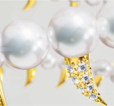 TASAKI - CGI