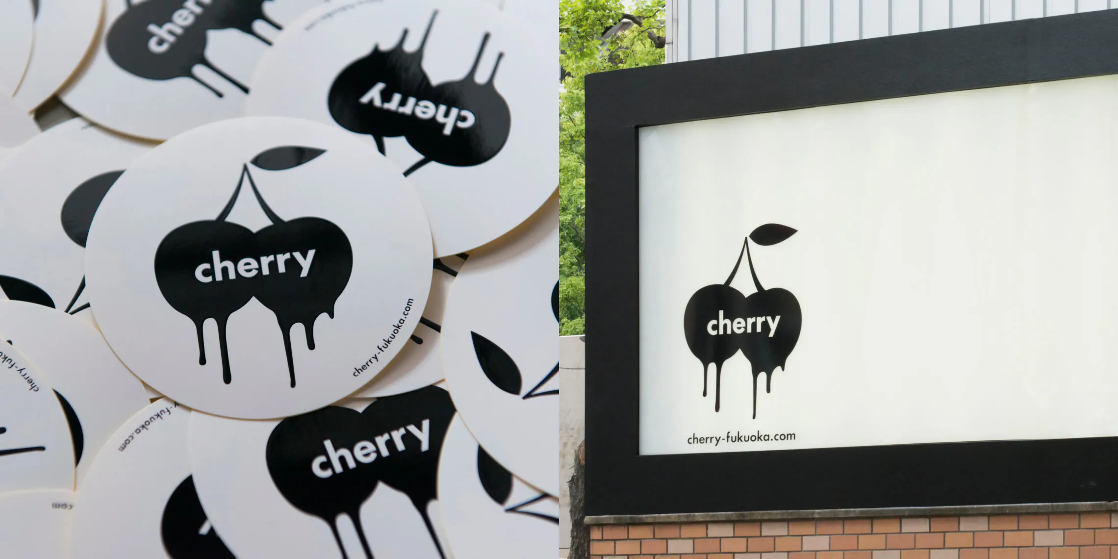 Cherry | anicecompany inc.｜企業ブランディングとマーケティング戦略