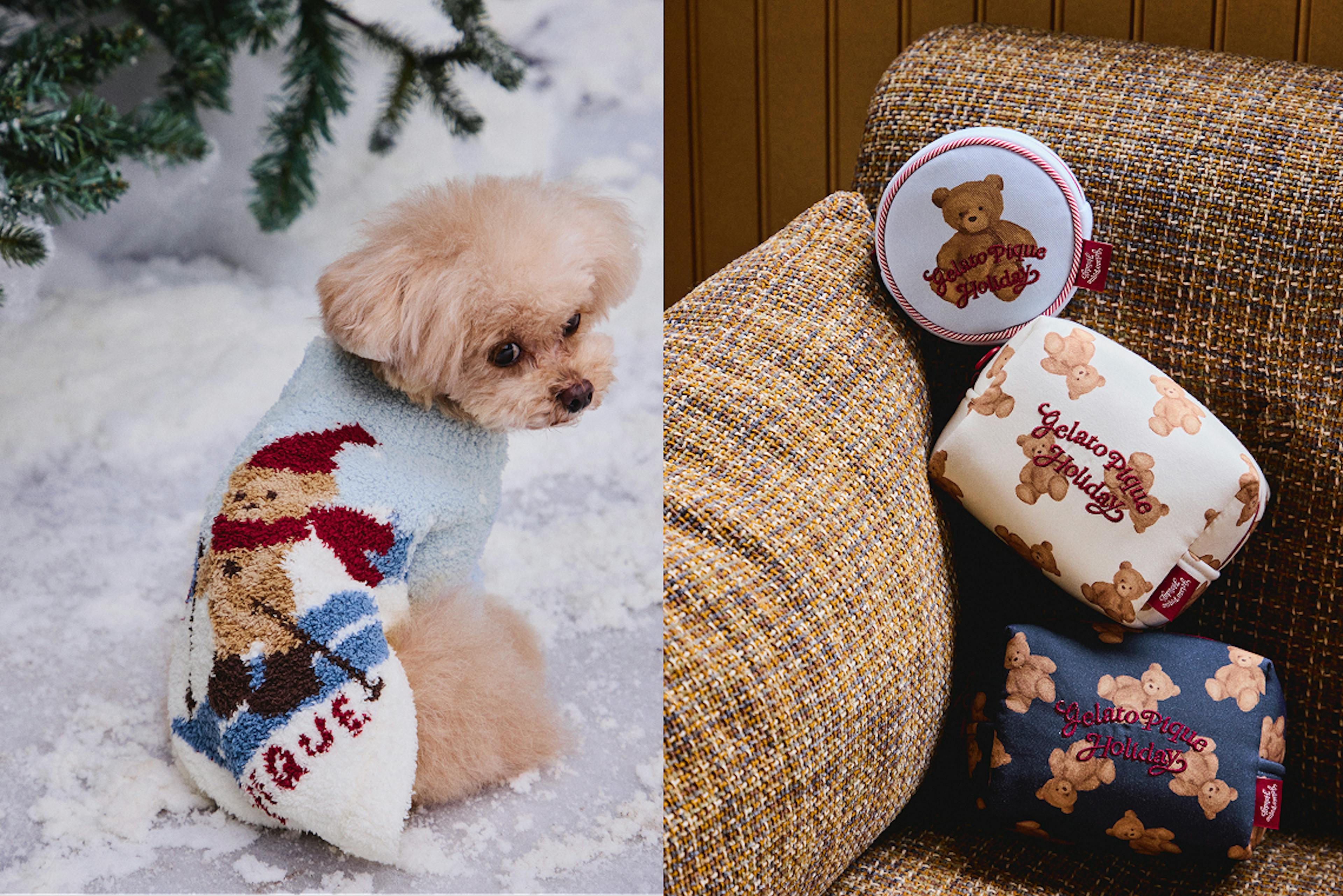 GELATO PIQUE 2025 Winterのビジュアル / Visual of GELATO PIQUE 2025 Winter