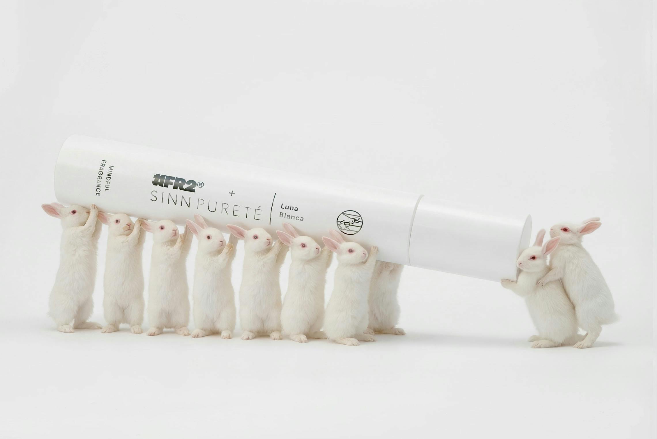 #FR2 × SINN PURETÉの商品イメージ / Product image for #FR2 × SINN PURETÉ