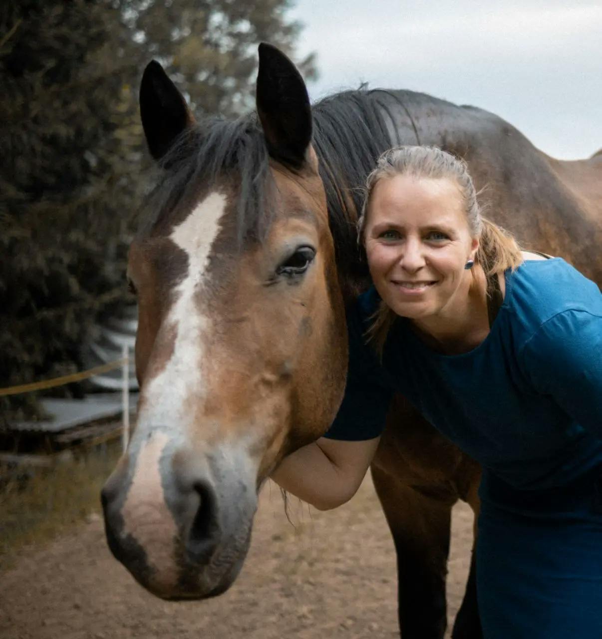 Wallach Prinz mit Jenny