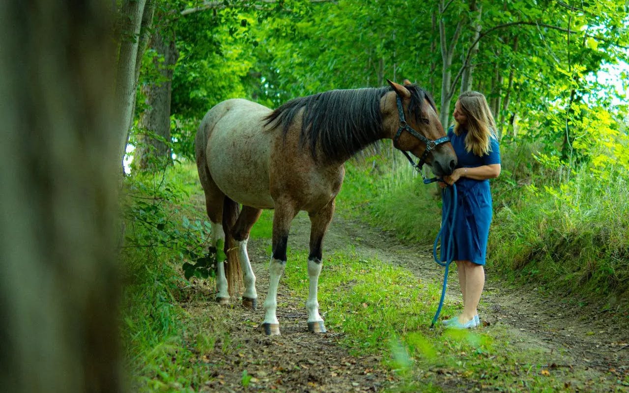 Stute Bahira mit Jenny