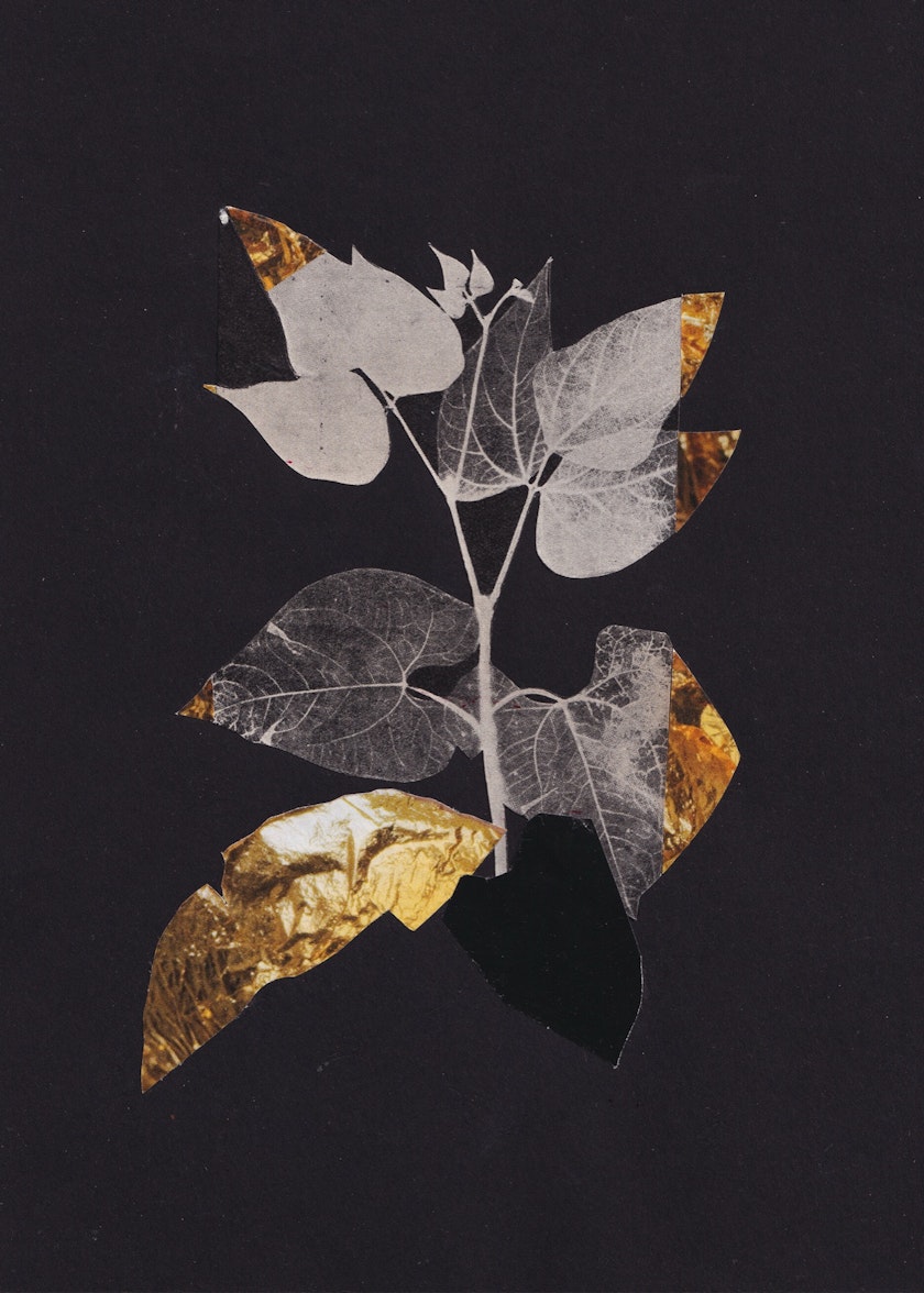 Paper collage by Kos Anita