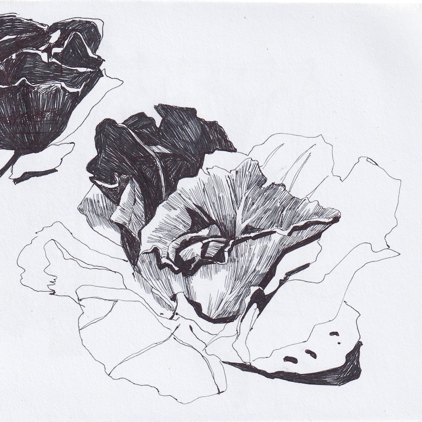 Drawing – Sketchbook by Kos Anita