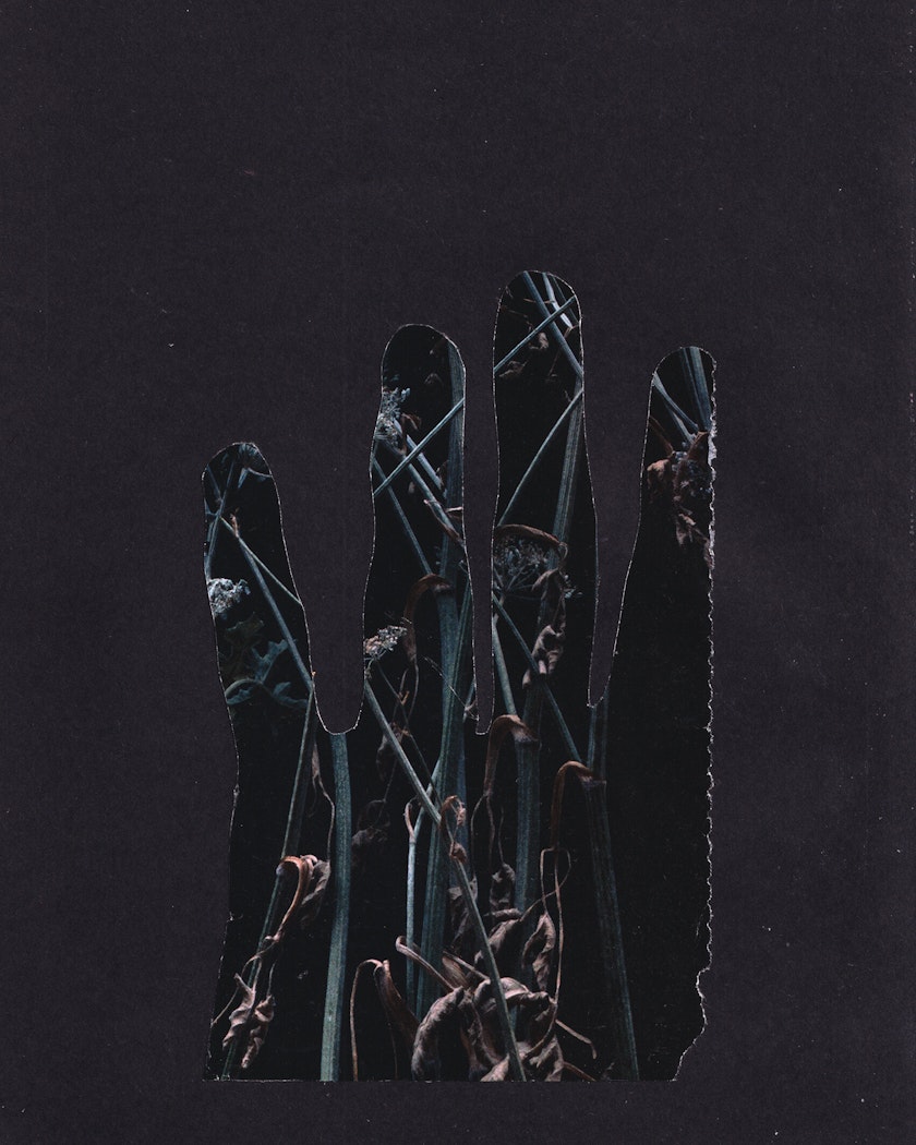 Paper collage by Kos Anita
