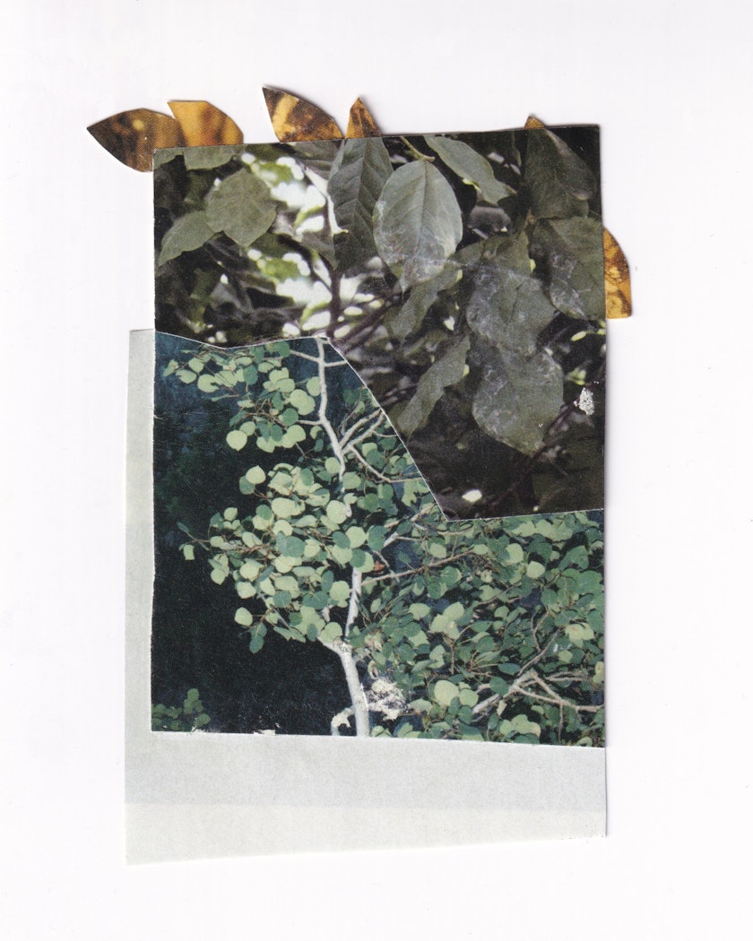 Paper collage by Kos Anita