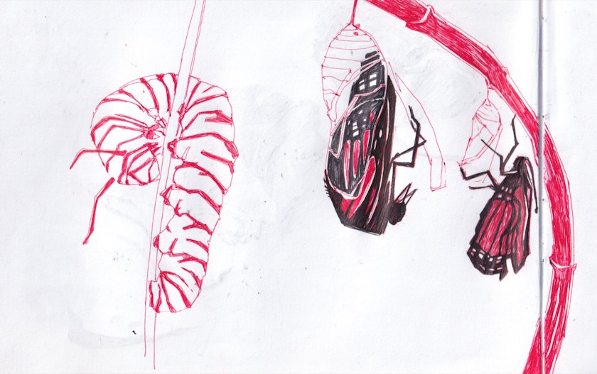 Drawing – Sketchbook by Kos Anita