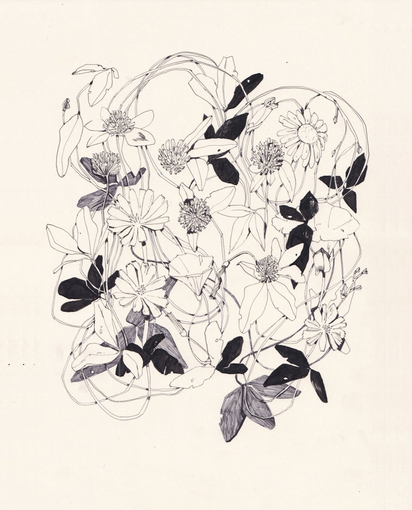 Drawing – Ink drawings by Kos Anita