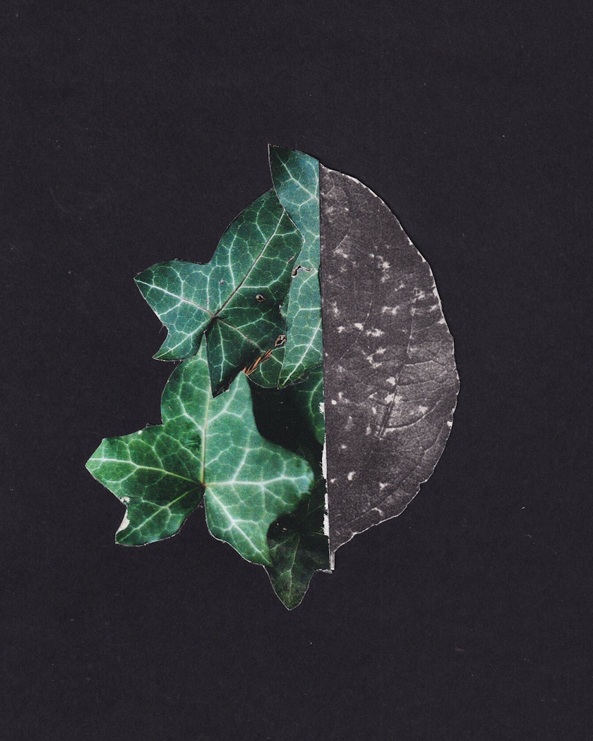 Paper collage by Kos Anita