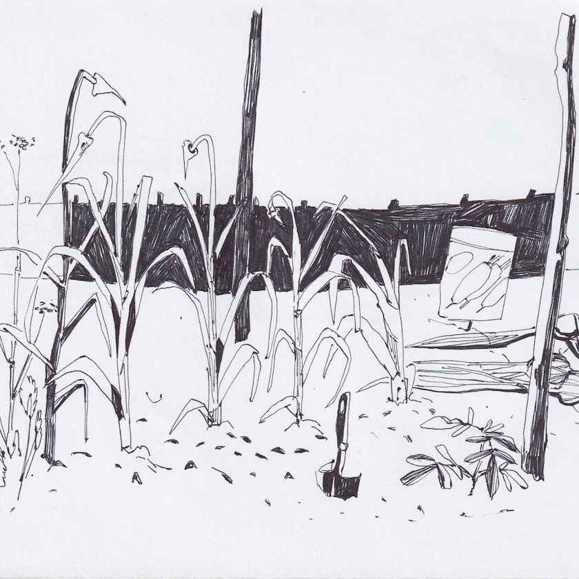 Drawing – Sketchbook by Kos Anita