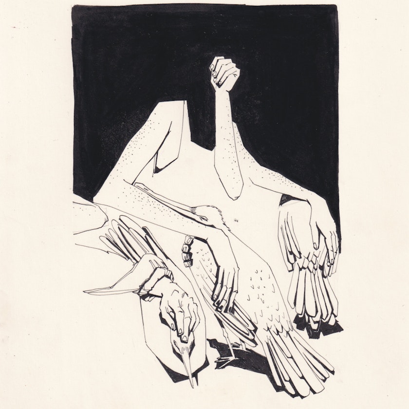Day 16