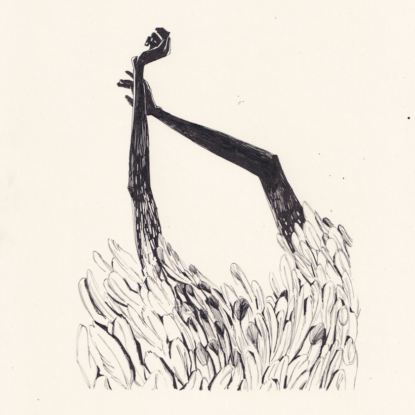 Day 3