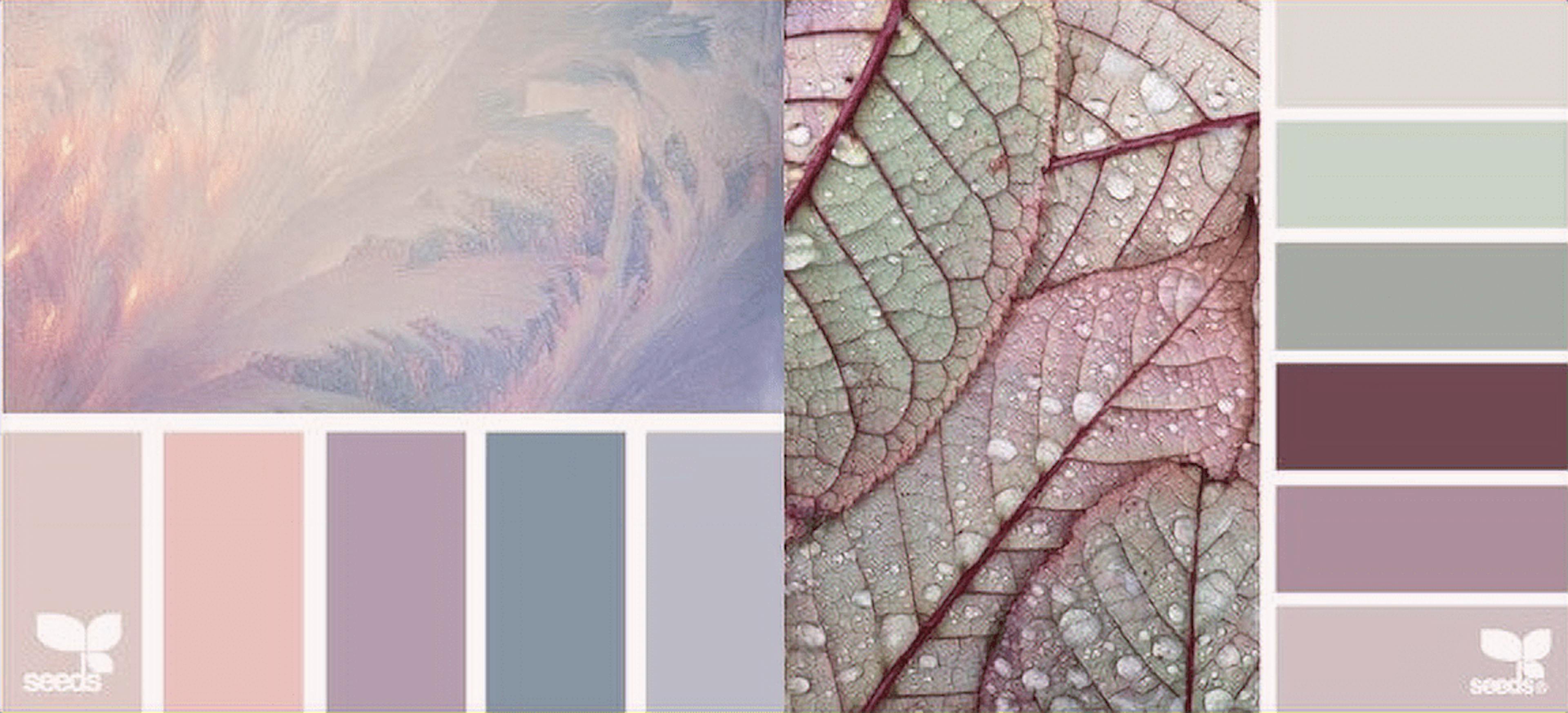 Paleta de colores con tonos de verde rosa y azul